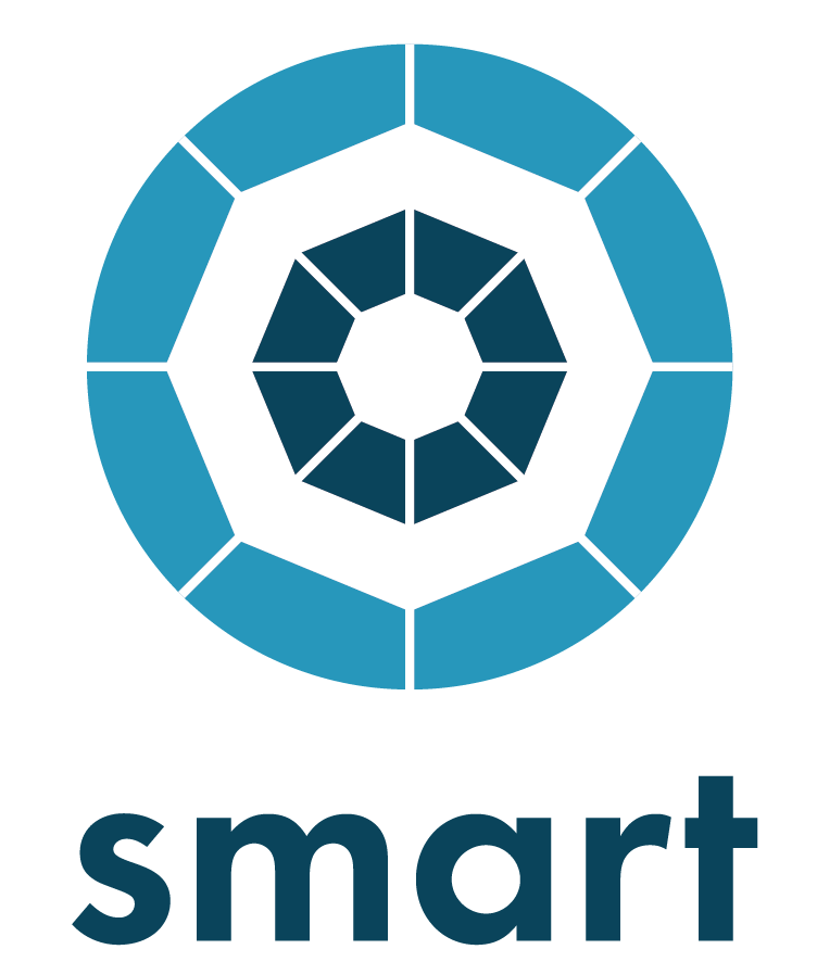 Icon SMART